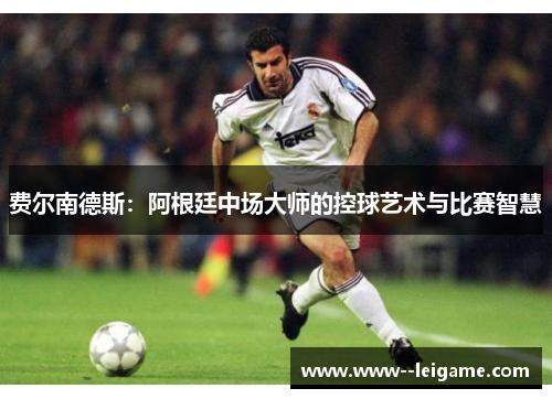 费尔南德斯：阿根廷中场大师的控球艺术与比赛智慧