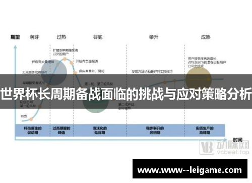 世界杯长周期备战面临的挑战与应对策略分析